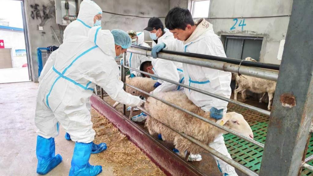 科技引领产业升级 服务助推提质增效