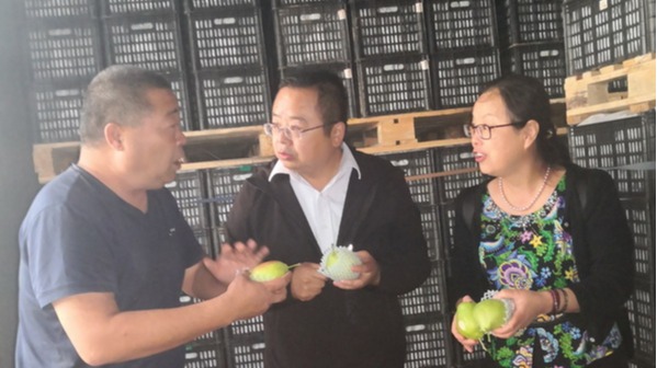 农产品贮藏加工研究所在永昌、张掖召开甘肃特色果蔬绿色供应链关键技术集成能力提升项目现场验收会
