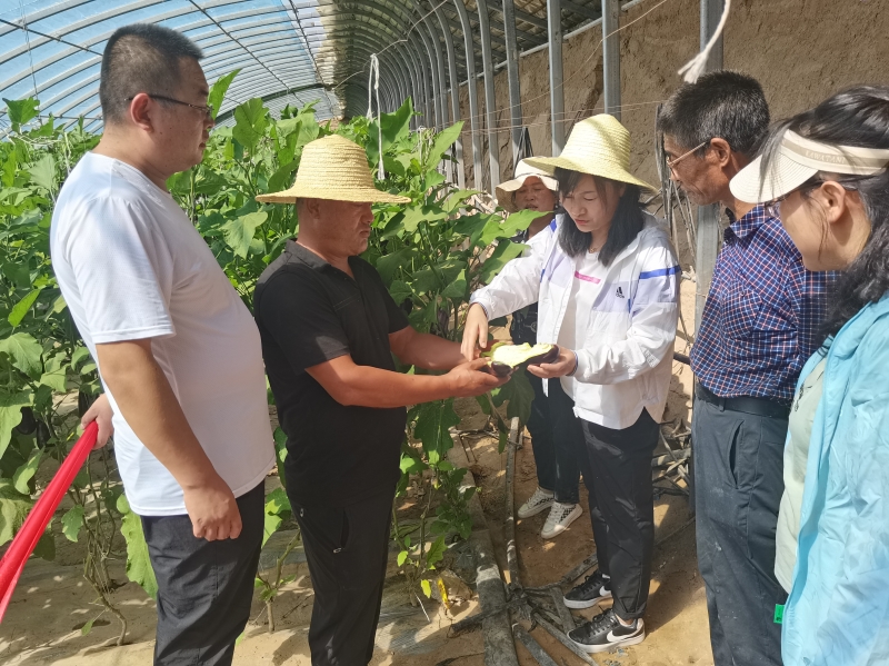 小麦所科技人员在古浪县黄花滩镇开展“三区”科技服务