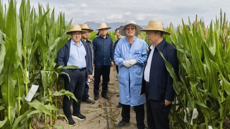 常宏赴海南乐东南繁基地调研并慰问一线科研人员