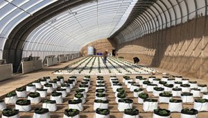 戈壁设施蔬菜绿色高效栽培技术
