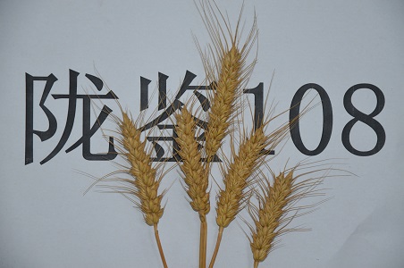 陇鉴108
