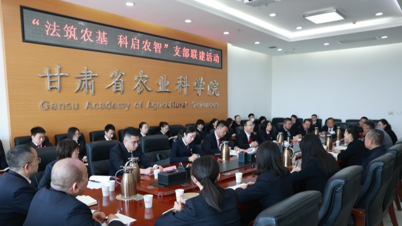 支部联建聚合力 党建业务双提升