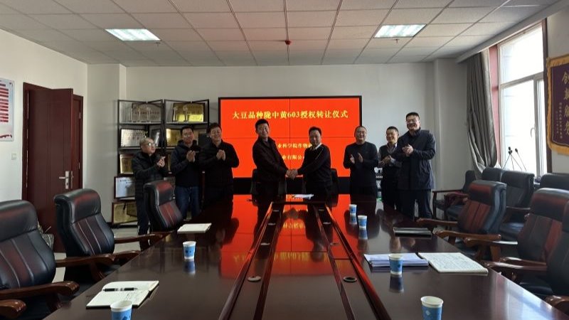 我院大豆新品种陇中黄603授权转让仪式在作物所举行