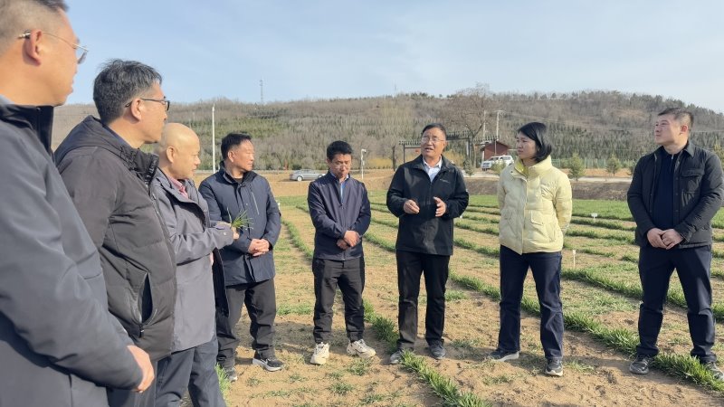 农业农村部科技小分队赴我院小麦所清水试验站指导工作