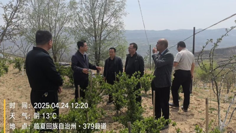 我院积石山现代农业产业研究院“林果农科小院”组...