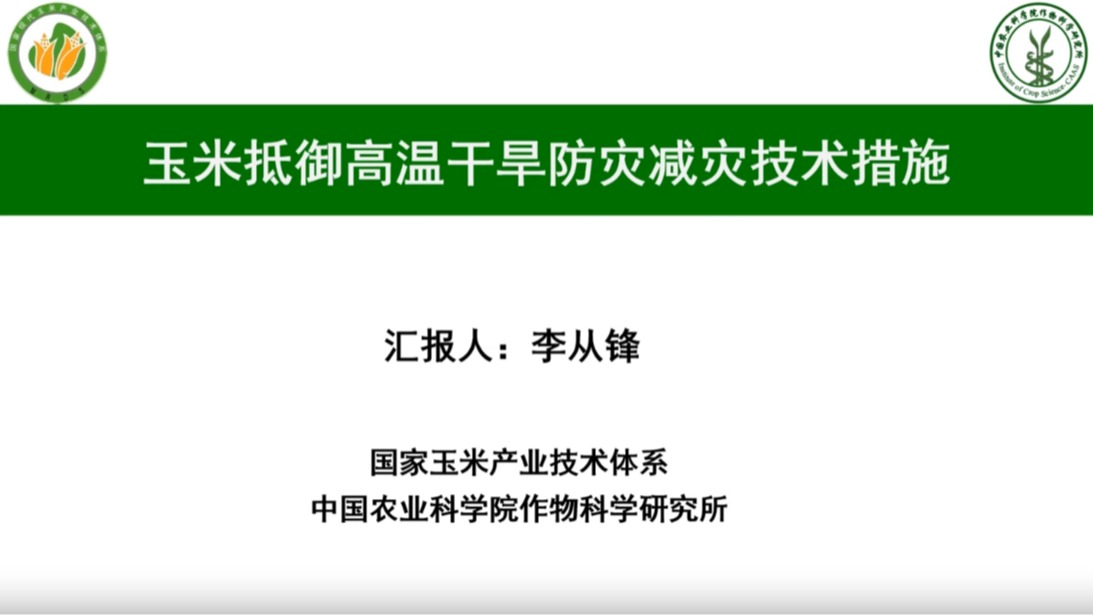 玉米抵御高温干旱防灾减灾技术措施