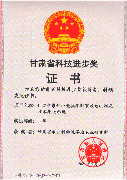 2020年省科技进步二等奖-甘肃中东部小麦抗旱耐寒栽培机制及技术集成示范