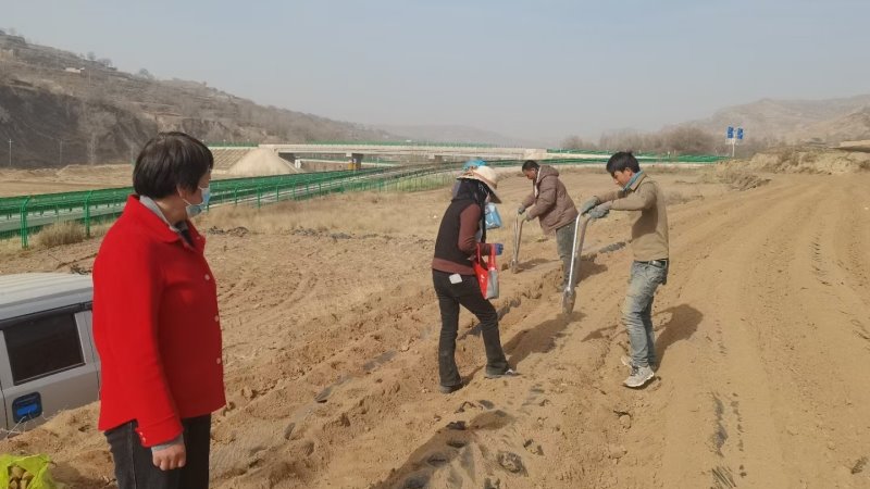 科技助力产业兴  精准帮扶促增收