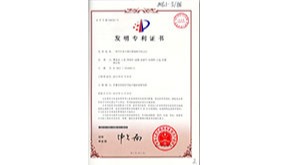 一种旱地地膜玉米田免耕直播冬小麦的方法