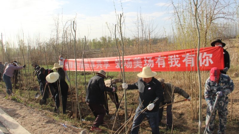 植绿护绿乐享共享  爱场美场有我有你