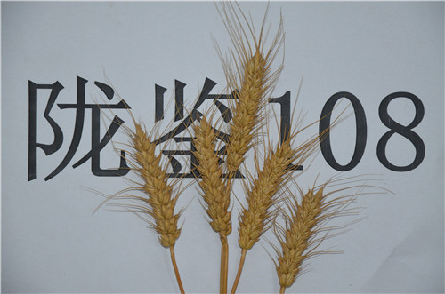 陇鉴108