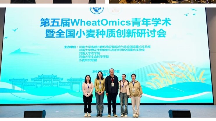 小麦研究所科技人员参加第五届 WheatOmics青年学术暨全国小麦种质创新研讨会