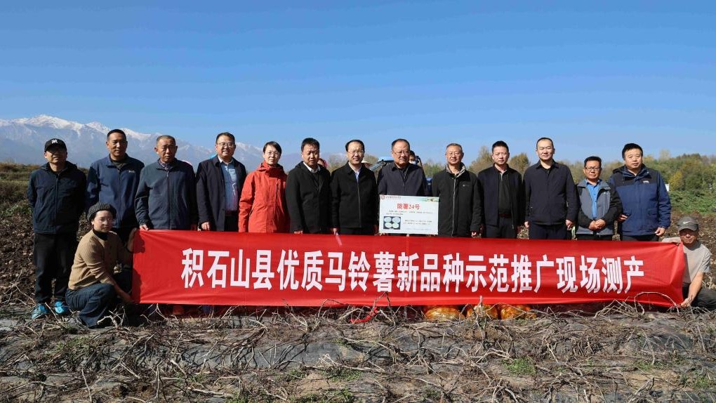 我院马铃薯所科技帮扶团队赴积石山县开展优质马铃...