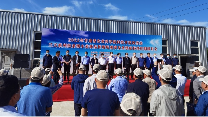 兰天系列抗条锈小麦新品种现场观摩会及条锈病持续控制研讨会成功举办