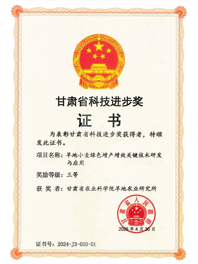 2025年省科技进步三等奖-旱地小麦绿色增产增效关键技术研发与集成示范