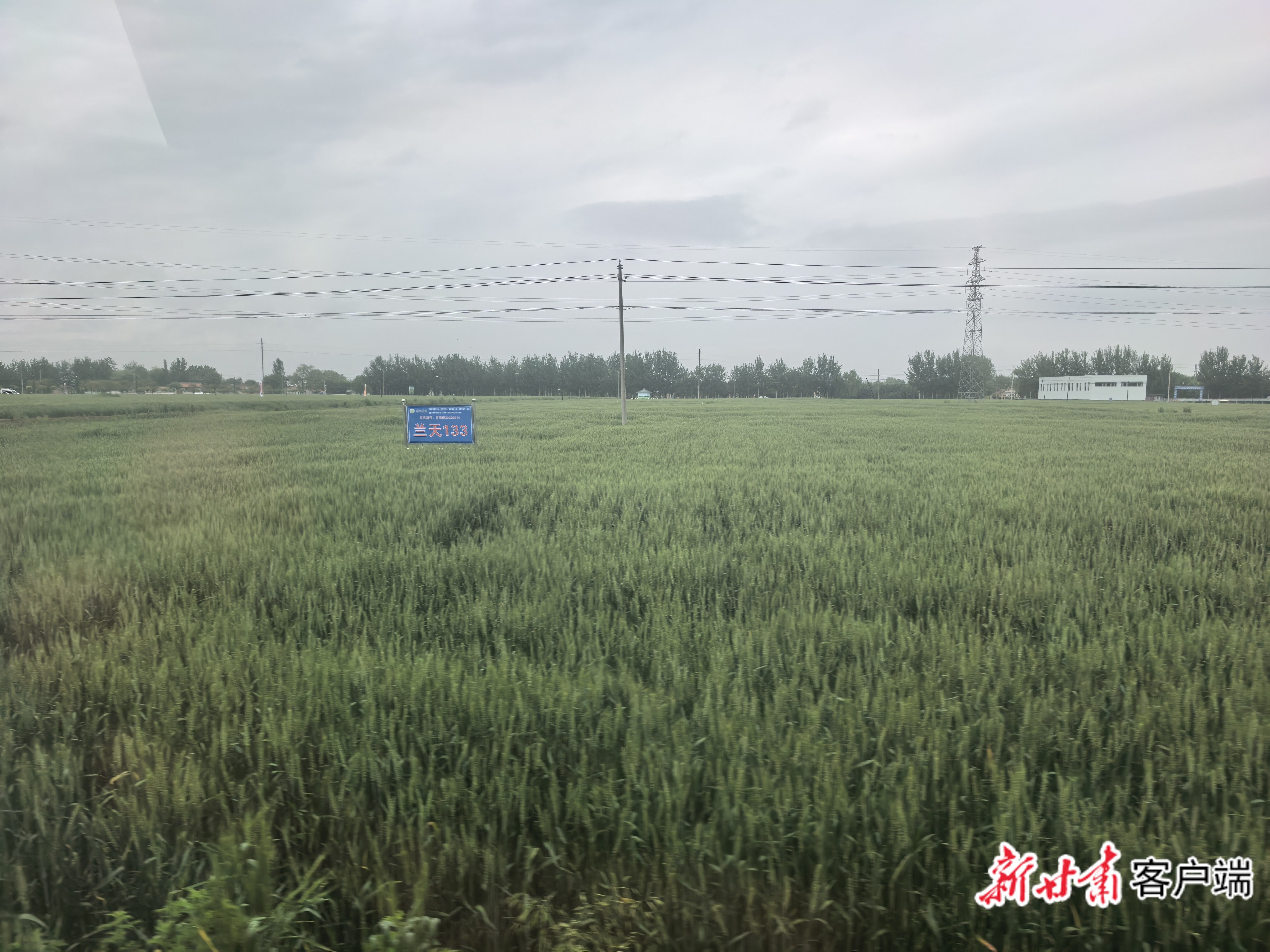 image_4 image_4