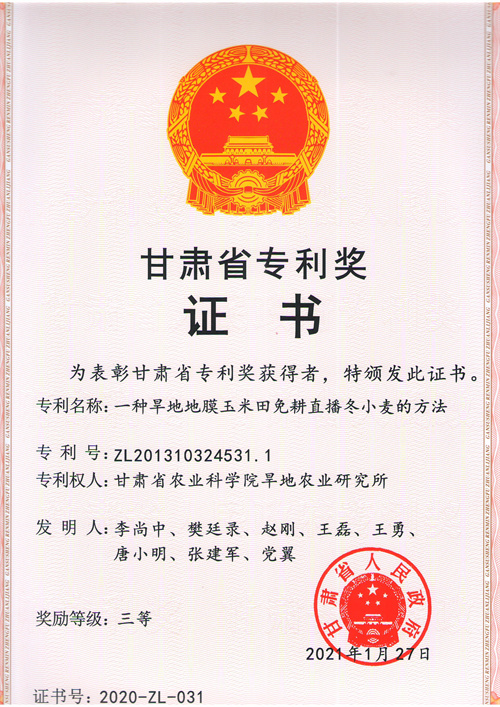 2021年省专利三等奖-一种旱地地膜玉米田免耕直播冬小麦的方法