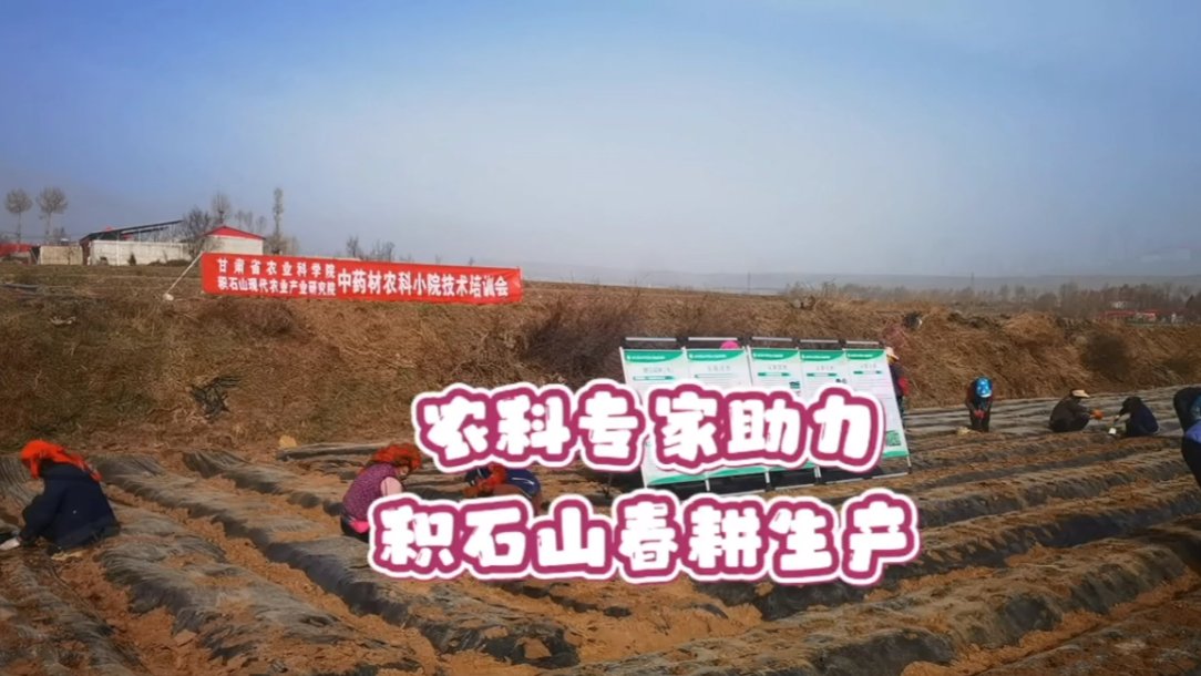 【新甘肃】农科专家田间“把脉” 助力积石山春耕生产