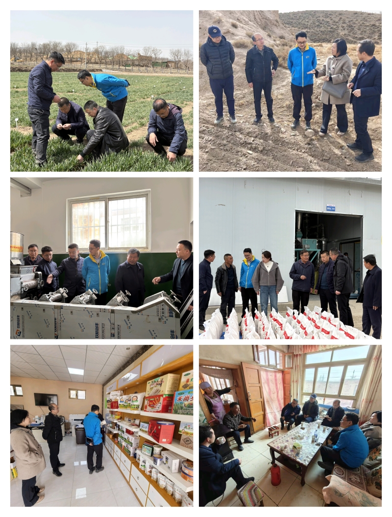 国家小麦体系质量安全与营养品质评价岗位科学家张波研究员、兰州综合试验站站长常磊教授赴我院小麦所指导工作