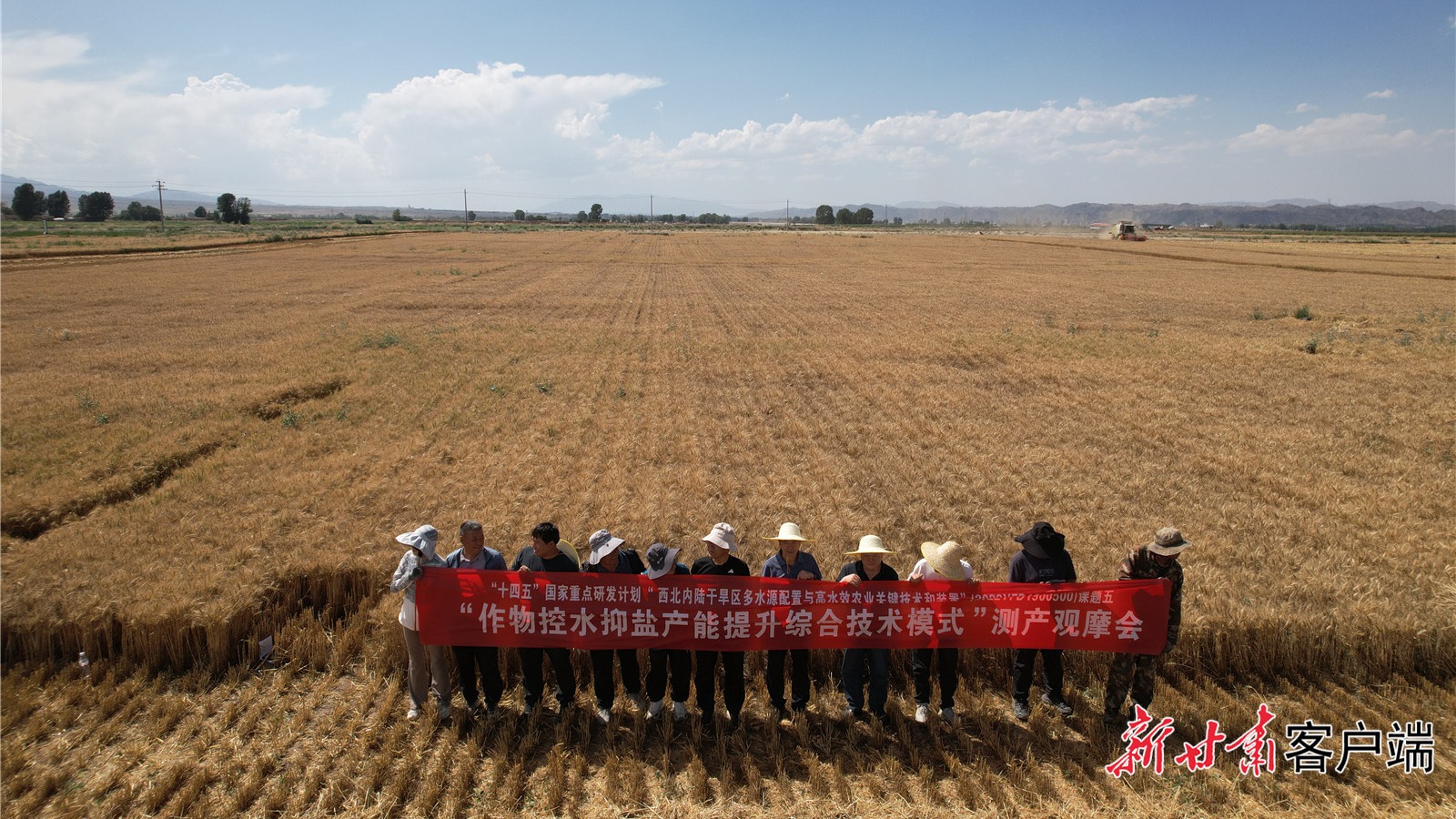 【新甘肃】科技赋能小麦丰产——节水增效新技术破解河西走廊粮食增产增效