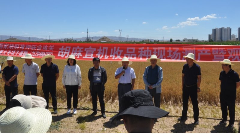 我院组织开展国家特色油料产业技术体系胡麻新品种、新技术 试验示范观摩会