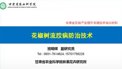 花椒流胶病防治技术