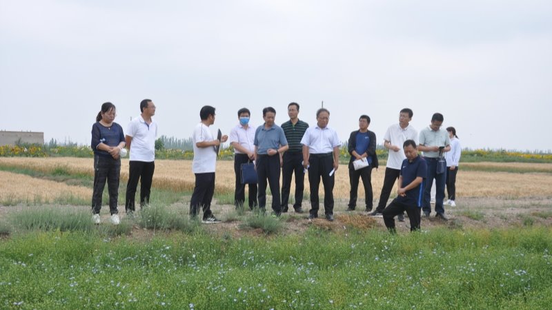 院长马忠明一行赴秦王川实验站检查指导工作