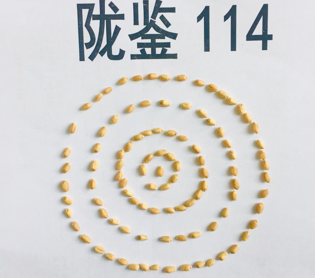 陇鉴114