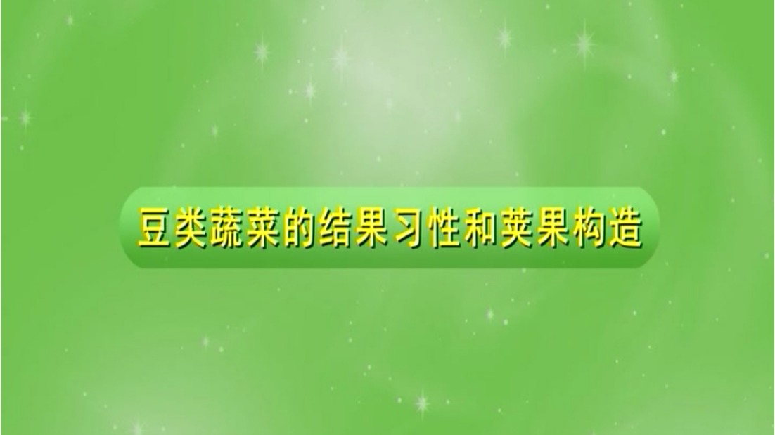 豆类蔬菜的结果习性和荚果构造