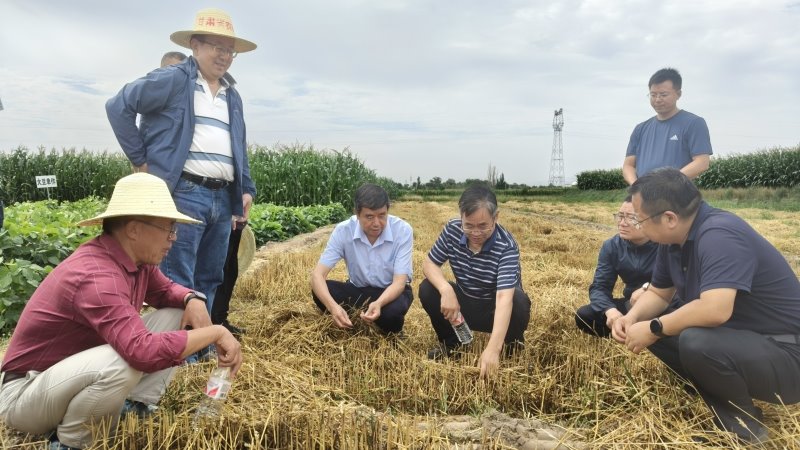 中国工程院院士徐明岗一行赴我院科研试验示范基地专题调研指导