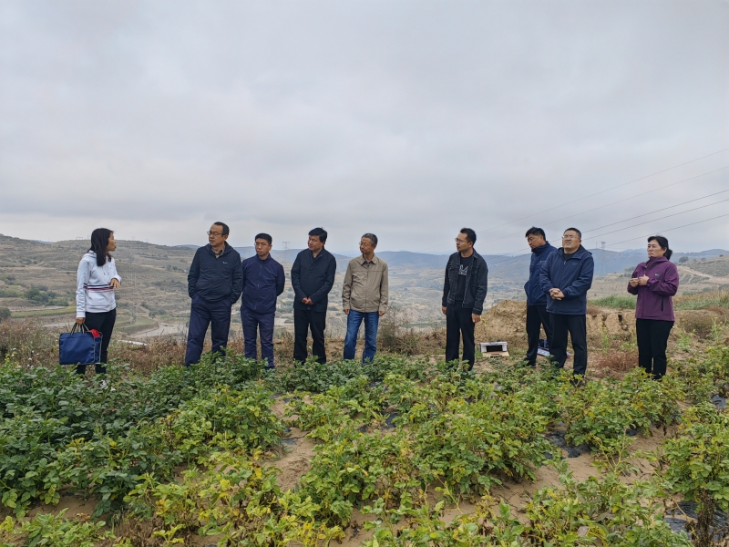 旱农所在安定区组织开展“高标准农田耕地熟化技术研究与模式集成示范”项目现场观摩及测产会