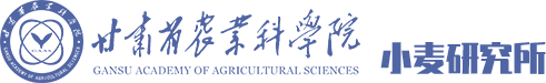 小麦研究所